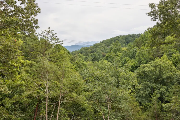 Mountain Views