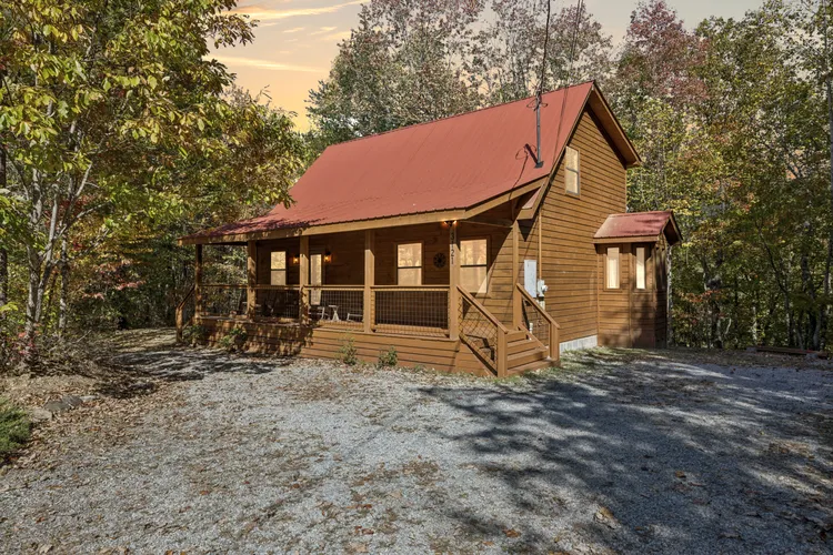 The Wild Life exterior
