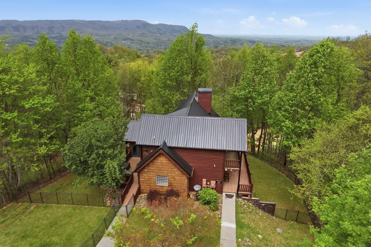 Pine Cone Cabin photo 2