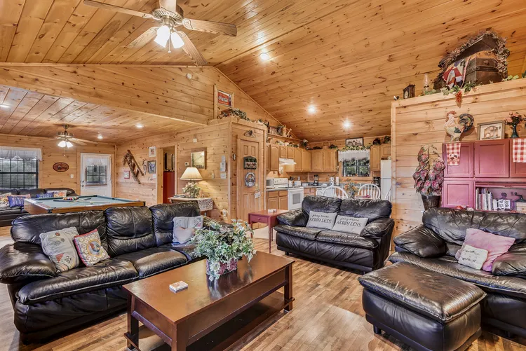 Living Room Area